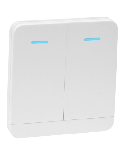 Передатчик клавишный на 2 канала Tantos TSt-100HK в Петропавловске-Камчатском Устройства радиоуправления для шлагбаумов и автоматики Pintop.ru