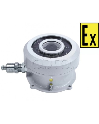 Видеокамера взрывозащищенная Компания СМД Орион МК ВК FishEye-А в Петропавловске-Камчатском Взрывозащищенные камеры Pintop.ru