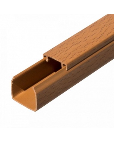 Кабель-канал бук 2-й замок 25х25 (48м/уп) Промрукав (PR.025430) в Петропавловске-Камчатском Огнестойкие кабельные линии Pintop.ru