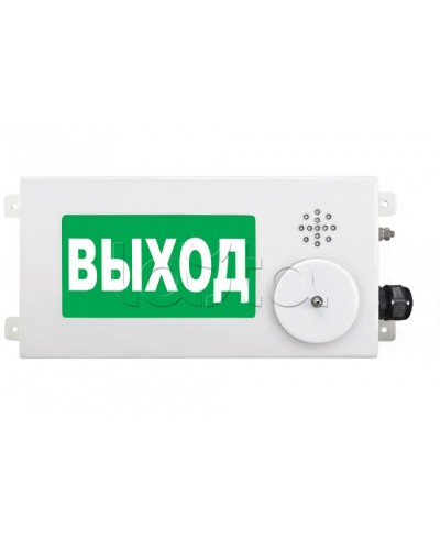 Табло световое взрывозащищенное Спектрон ТСВ-Exm-М-Прометей-МИНИ 220В в Петропавловске-Камчатском Оповещатели Ex Pintop.ru