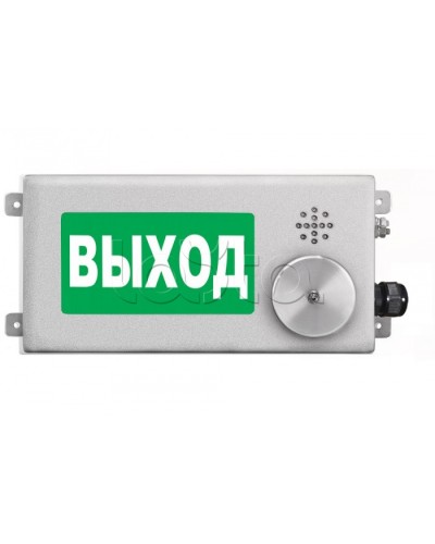 Табло световое взрывозащищенное Спектрон ТСВ-Exm-Н-Прометей-МИНИ 220В в Петропавловске-Камчатском Оповещатели Ex Pintop.ru