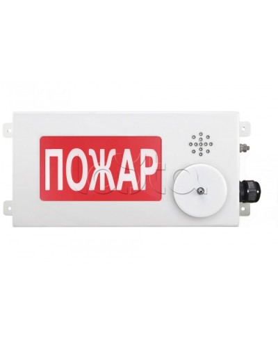 Табло светозвуковое взрывозащищенное Спектрон ТСЗВ-Exi-М-Прометей-МИНИ 12-36В в Петропавловске-Камчатском Оповещатели Ex Pintop.ru