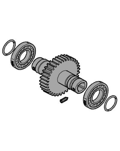 Вал выходной EMEGA Came 119RIE062 в Петропавловске-Камчатском Запчасти для шлагбаумов и автоматики Pintop.ru