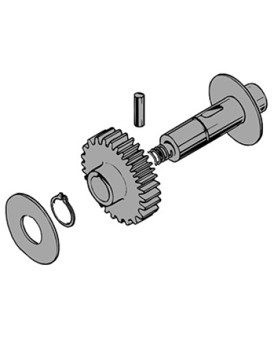 Вал в сборе C100 Came 119RIC011 в Петропавловске-Камчатском Запчасти для шлагбаумов и автоматики Pintop.ru