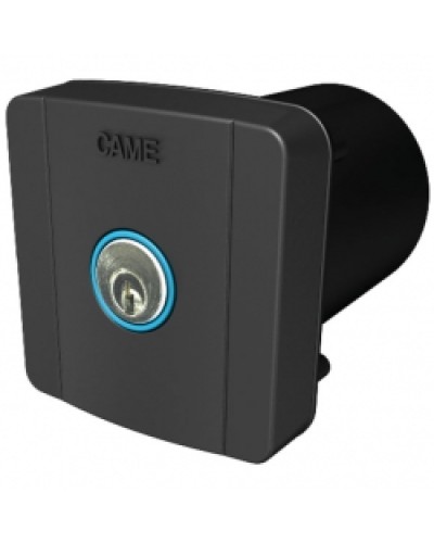Ключ-выключатель встраиваемый Came 806SL-0020 в Петропавловске-Камчатском Запчасти для шлагбаумов и автоматики Pintop.ru