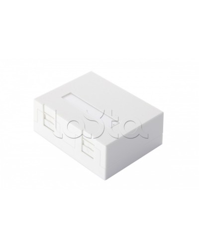 Настенная коробка 2-портовая со шторками, белый Eurolan (12B-04-02WT-2) в Петропавловске-Камчатском Розетки компьютерные и телефонные Pintop.ru