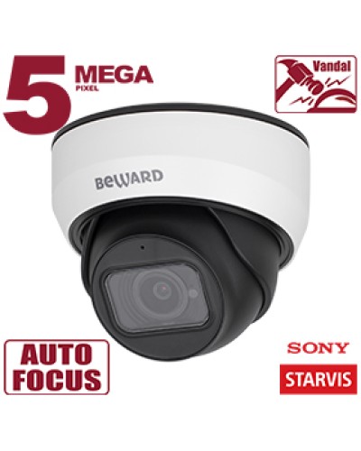IP-камера видеонаблюдения купольная Beward SV3212DZ в Петропавловске-Камчатском IP-камеры Pintop.ru