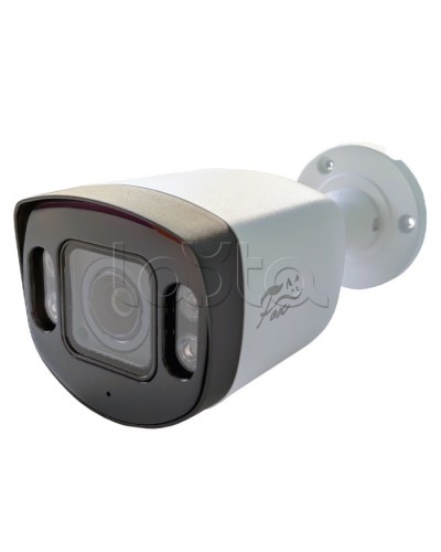 IP-камера видеонаблюдения в стандартном исполнении Fox FX-IPC-C40AP-IR H.265 AI в Петропавловске-Камчатском IP-камеры Pintop.ru