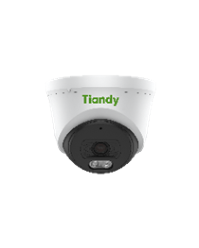 Уличная купольная IP-камера Tiandy AK TC-C320N Spec:I3/E/Y/2.8mm в Петропавловске-Камчатском IP-камеры Pintop.ru