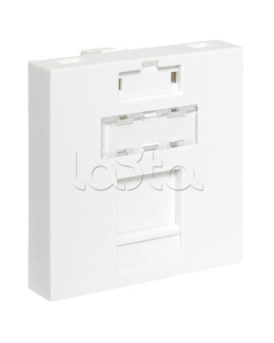 Вставка розеточная TERACOM PRO 45x45мм формат Mosaic на 1 модуль Keystone белая EKF (TRP-INS-MOS-2M1P-WH) в Петропавловске-Камчатском Розетки компьютерные и телефонные Pintop.ru