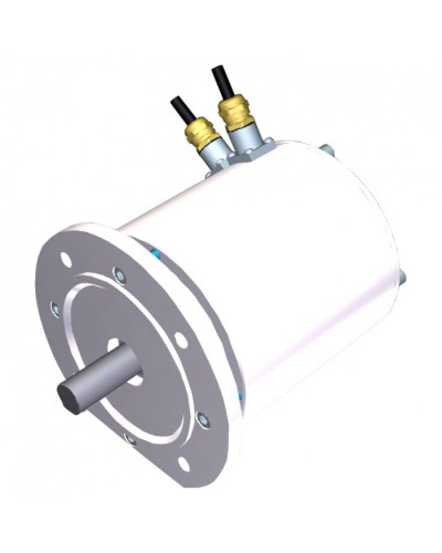 Электродвигатель FROG-MD Came 119RIA080 в Петропавловске-Камчатском Запчасти для шлагбаумов и автоматики Pintop.ru