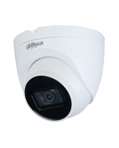 IP-камера видеонаблюдения уличная купольная Dahua DH-IPC-HDW2230TP-AS-0360B-S2 в Петропавловске-Камчатском IP-камеры Pintop.ru